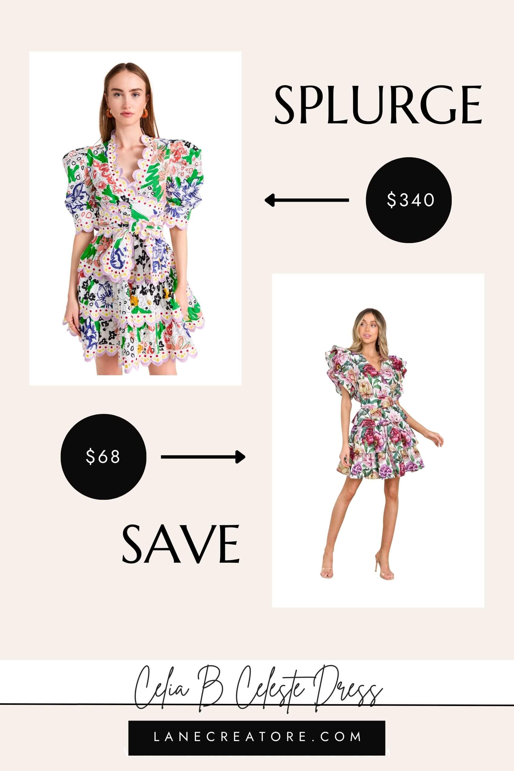 celia b dress dupe