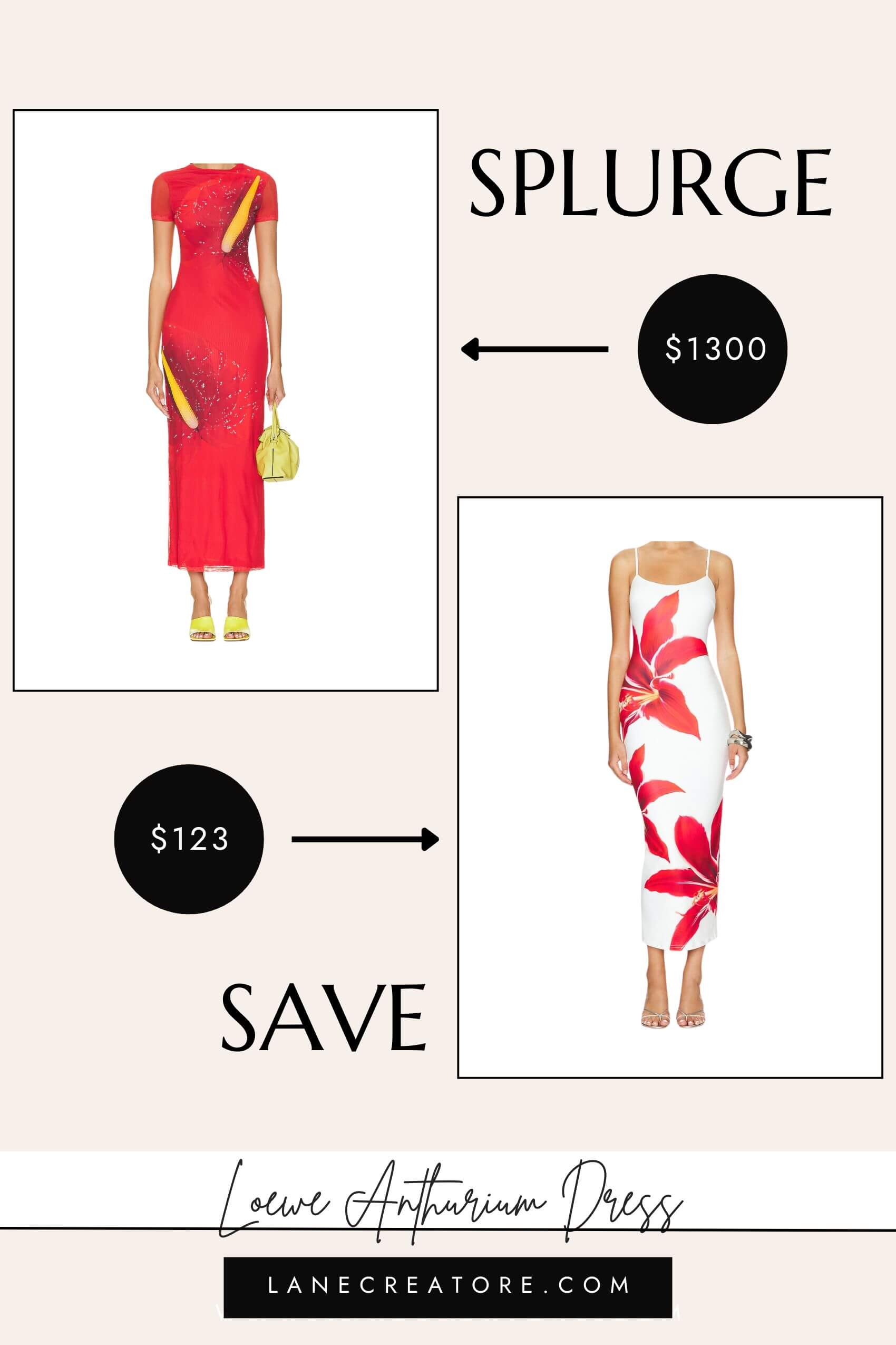 loewe anthurium dress dupe