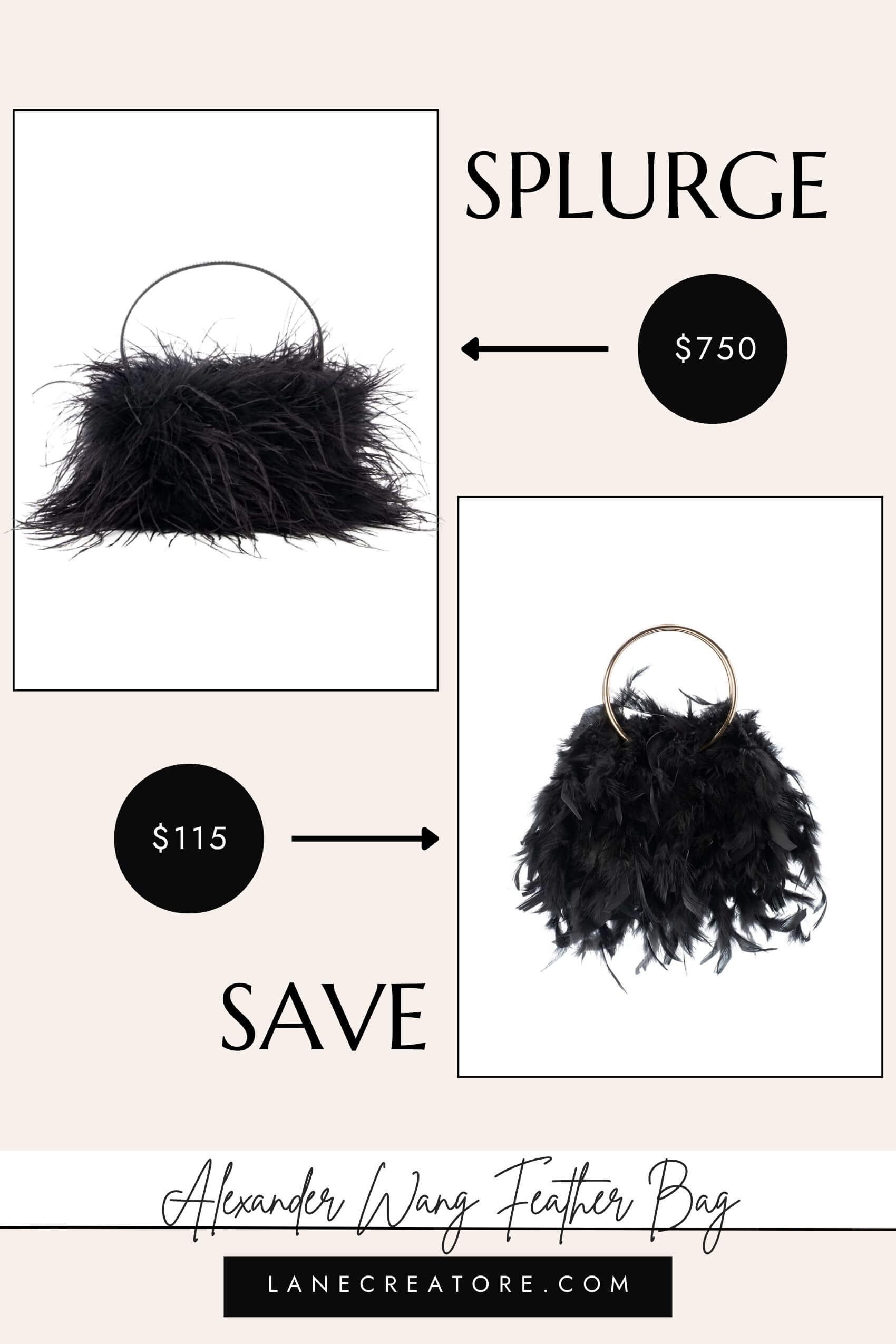 alexander wang feather bag dupe